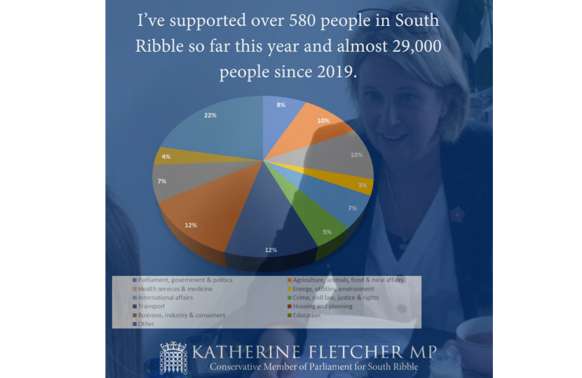 Pie chart showing breakdown of issues Katherine has worked on