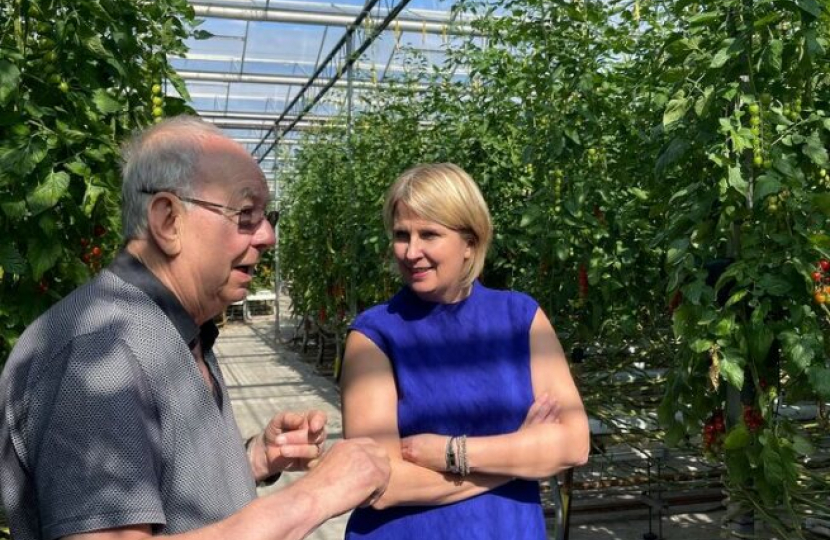 Katherine talking to man surrounded by tomato plants
